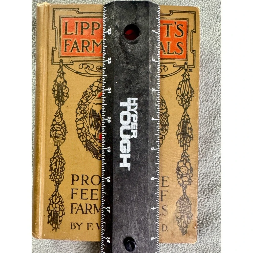 Antique Productive Feeding of Farm Animals Lippincott's Farm Manuals F.W.‎ Woll